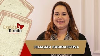 Explica Direito Filiação Socioafetiva  2019 [upl. by Aissila6]