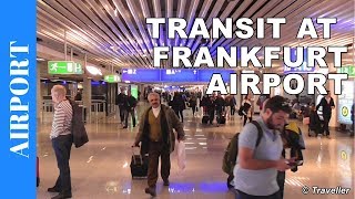 TRANSIT WALK AT FRANKFURT Airport FRA Terminal 1  Connection Flight Transfer Arriving amp Departing [upl. by Nojad]